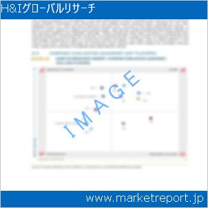 市場と産業調査レポートのイメージ